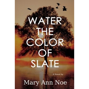 Water the Color of Slate - by  Mary Ann Noe (Paperback) - 1 of 1