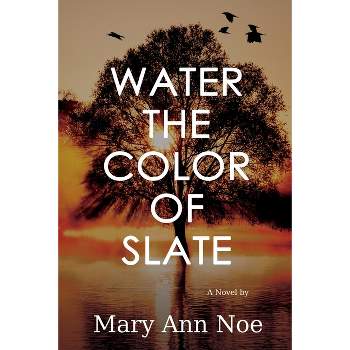 Water the Color of Slate - by  Mary Ann Noe (Paperback)