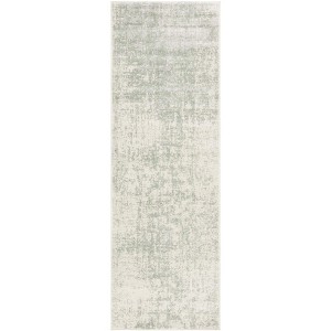Adirondack ADR207 Non-Shedding Power Loomed Indoor Rugs - Safavieh - 1 of 4