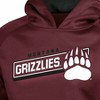 NCAA Montana Grizzlies Boys' Gray Hooded Sweatshirt - 3 of 3