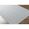 Hauteloom Nuela Light Gray Area Rug - 3 of 4