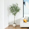 DR.Planzen 5-7FT Artificial Ficus Tree in Oval White Pot, Pre Potted Faux Tree for Indoor Home Decor - 2 of 4