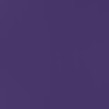 midnight violet