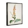 Stupell Industries Botanical Plant Illustration Flowers Vintage Design - 3 of 4