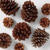 Cinnamon Scented Pinecones, Scented Pine Cones, Holiday Yule Decor, Vase  Filler - Helia Beer Co