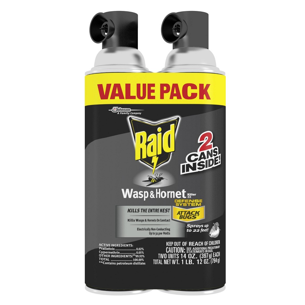 Raid Wasp & Hornet Insect Killer 33  14 oz  2 ct