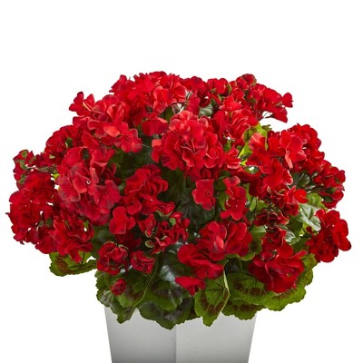 27-Inch White Plastic Potted Cranesbill Arrangement