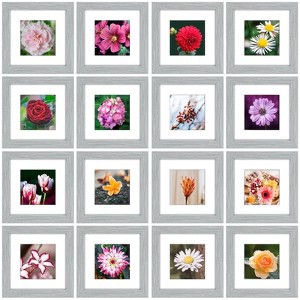 Golden State Art 6x6 Gray Wood Picture Frame 0.84 Inch Thickness - Pack of 16 - 1 of 4