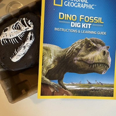 National Geographic Dino Fossil Dig Kit : Target