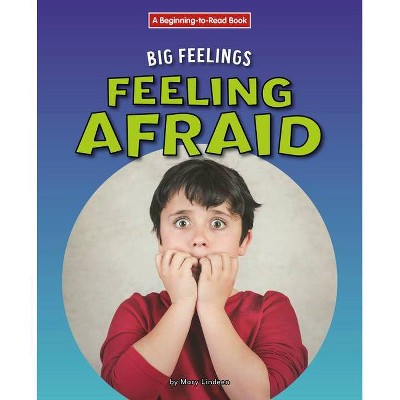 Feeling Afraid - by  Mary Lindeen (Paperback)