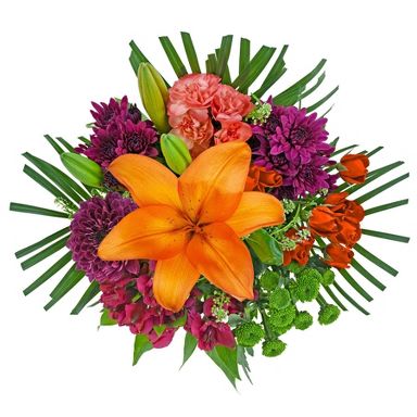 Fresh Cut 16 Stem Tropical Flower Bouquet - Good Little Garden™