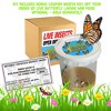 Nature Bound Bug & Butterfly Kit, Live Insect Growing Set for Kids 6+ - 4 of 4