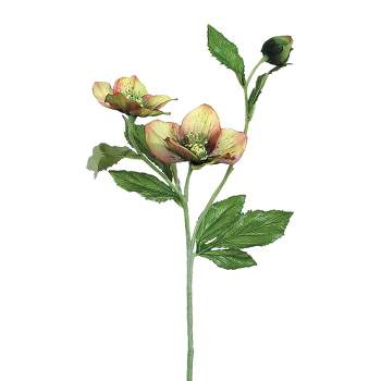 Allstate Floral 22" Sage Green and Burgundy Helleborus Artificial Decorative Spray