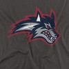 Men's Stony Brook University Official Distressed Primary Logo T-Shirt - 2 of 4