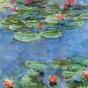 Design Toscano Water Lilies, 1917: Canvas Replica Painting: Grande - 2 of 4