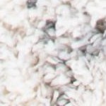 ivory/grey