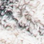 ivory/grey