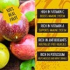 Pitaya Plus Frozen Seedless Passion Fruit Cubes - 12oz - 4 of 4