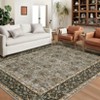 Area Rugs Washable Rugs for Living Room Vintage Boho Large Rugs Non Slip Indoor Soft Distressed Lightweight Carpet - 2 of 4