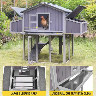 Gray and Purple Foldable Wooden Chicken Coop with Nesting Boxes