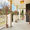 Artificial Bougainvillea Tree with Wood Trunk - Realistic Pink Bloom Faux Plant for All-Weather Indoor/Outdoor Decor - 2 of 4