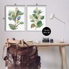 Stupell Industries Soft Eucalyptus Plant Ombre Leaves 2pc Framed Giclee Art Set, Gray, 24" x 30" - 3 of 4