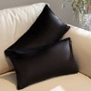 Cheer Collection Luxurious Velour Decorative Throw Pillows with Inserts, Set of 2 - image 4 of 4