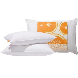 Canadian Down & Feather Company - White Goose Feather Pillow - 2 Pack - 1 of 4