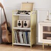 3-Tier Wooden Record Player Stand with Gold Metal Mesh Sides & Storage - Turntable Side Table for Home Decor - 3 of 4