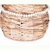 Gallerie II Cattail Grass Pumpkin Basket - 3 of 3