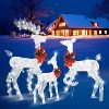 VINGLI 3-Piece Lighted Christmas Reindeer Family Set Outdoor Decorations, Weather Proof Deer Family Set of  Pre-lit 270 LED Lights,White - 2 of 4