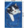 Trends International Keith Kimberlin - Kitten - Pocket Unframed Wall Poster Prints - 3 of 4