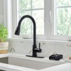 WOWOW Pentagram Fan Blade Sink Glass Rinser for Kitchen Sink in Brushed Nickel - 2 of 4
