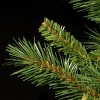 National Tree Company 6.5 ft Pre-Lit Artificial Medium Christmas Tree, Green, Tiffany Fir, White Lights, Includes Stand - 4 of 4