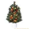2 Ft Mini Pre-Lit Christmas Tree with Warm White Lights, Red Berries & Pine Cones - Small Tabletop Decor for Apartments, Dorms, Office - 2 of 4