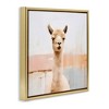 Stupell Industries Rustic Llama Portrait, 18" x 18" - 3 of 4