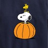 Boys' - Peanuts - Snoopy Woodstock Pumpkin Graphic Long Sleeve Fleece Sweatshirt - 2 of 4