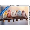 Trends International Reinders: Animals - Pastel Birds Unframed Wall Poster Print Clear Push Pins Bundle 14.725" x 22.375" - 3 of 4