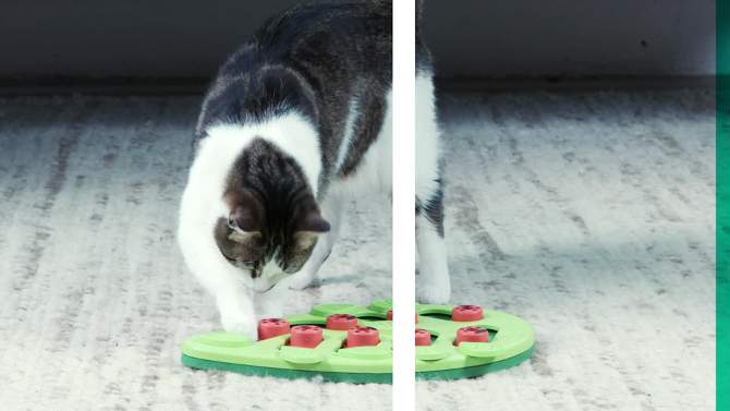 Petstages Nina Ottosson Melon Madness Interactive Treat Puzzle Cat Toy, 2 of 8, play video
