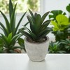 Unique Bargains Artificial Plants Mini Pulp Plastic 3.54"x3.54"x5.12" 1 Pc - 2 of 4