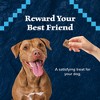 Blue Buffalo Wilderness Trail Treats High Protein Grain-Free Crunchy Dog Treats Biscuits Salmon Recipe - 3 of 4