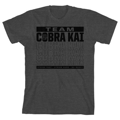 Cobra Kai Team Cobra Kai Strike Fast Strike Hard Boy's Charcoal Heather T-shirt