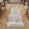COZONY Washable Abstract Area Rug with Non-Slip Backing, Foldable Distressed Low Pile Carpet for Living Room and Bedroom - 4 of 4