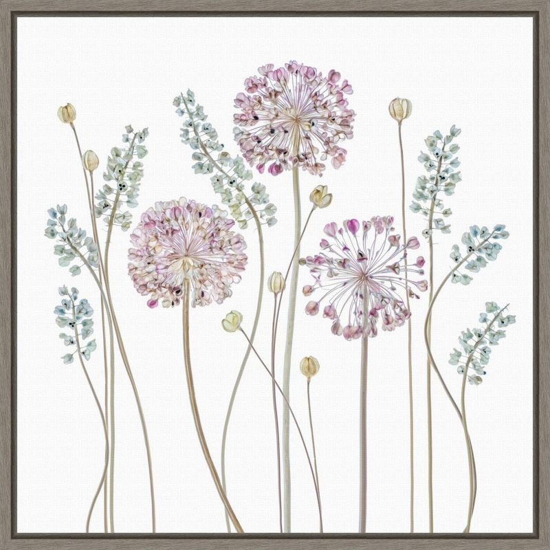 16&#34; x 16&#34; Allium Flower Silhouettes by Mandy Disher Framed Wall Canvas - Amanti Art, 1 of 10
