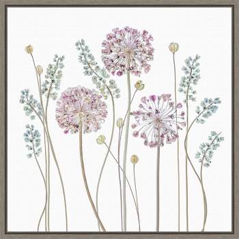 16" x 16" Allium Flower Silhouettes by Mandy Disher Framed Wall Canvas - Amanti Art