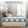 Full Size Memory Foam & Pocket Springs, Medium Firm Hybrid Mattress for Pressure Relief, CertiPUR-US & OEKO-TEX Certified-Coolbibila - 3 of 4