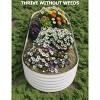 2 Pcs Raised Garden Beds Outdoor - Galvanized Steel Planter Box for Vegetables, Flowers, Rust-Resistant Garden Box - 3 of 4