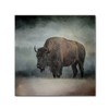 Trademark Fine Art -Jai Johnson 'Stormy Day Buffalo' Canvas Art - 2 of 3