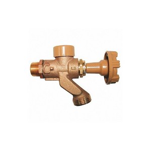 Woodford  Anti-Siphon Hose Bibb,1/2 In, Brass 101CP - 1 of 1