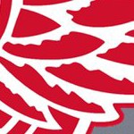 detroit red wings